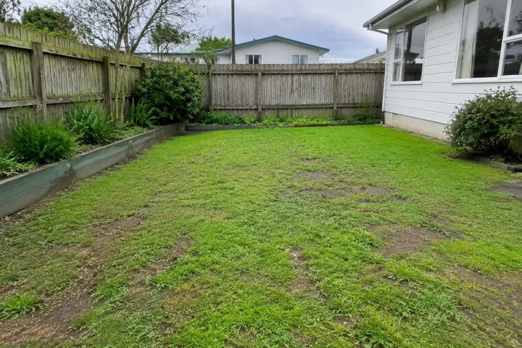True-to-life Gisborne residential lawn and garden conditions